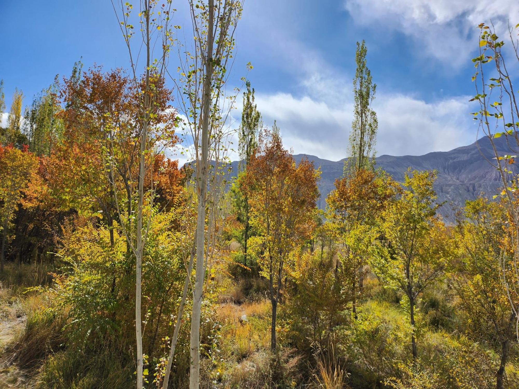 Lharimo Hotel Leh - Ladakh Ngoại thất bức ảnh