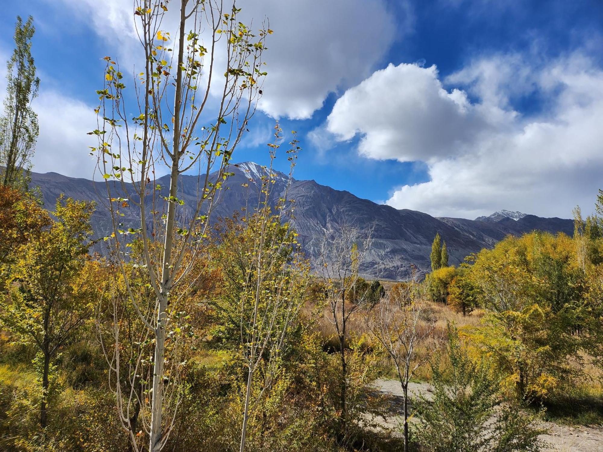 Lharimo Hotel Leh - Ladakh Ngoại thất bức ảnh