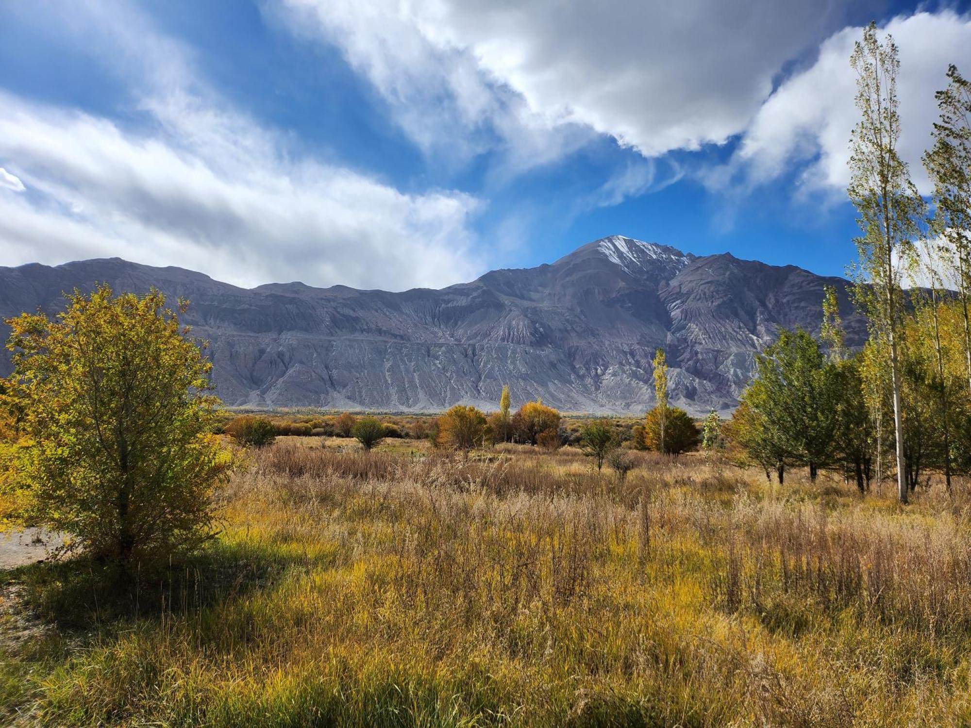 Lharimo Hotel Leh - Ladakh Ngoại thất bức ảnh