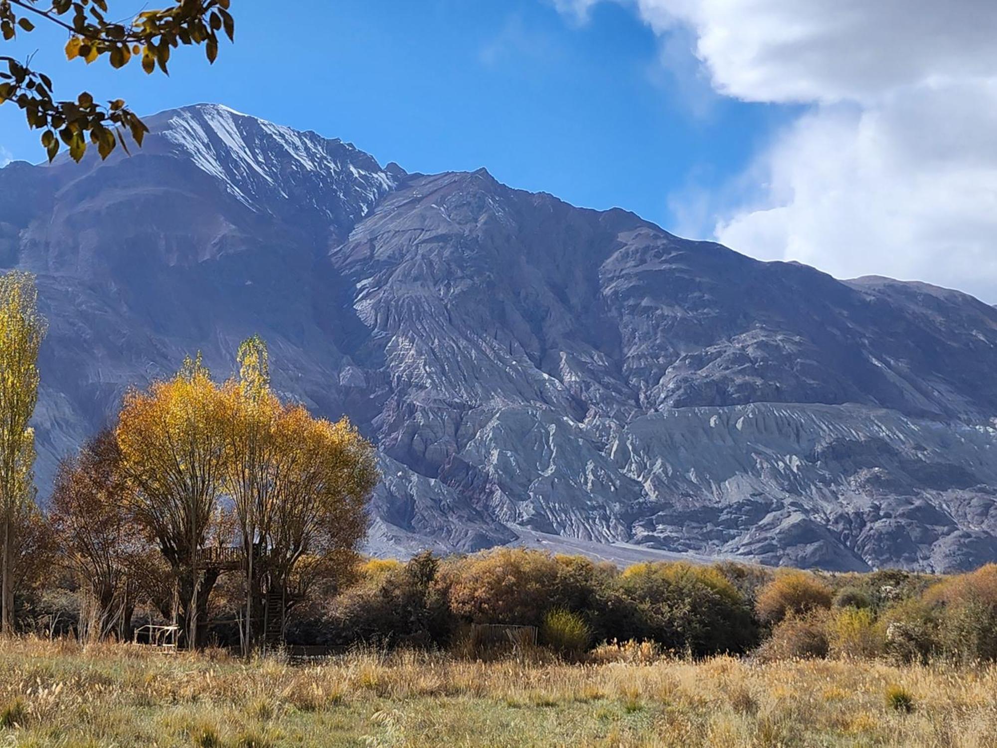 Lharimo Hotel Leh - Ladakh Ngoại thất bức ảnh