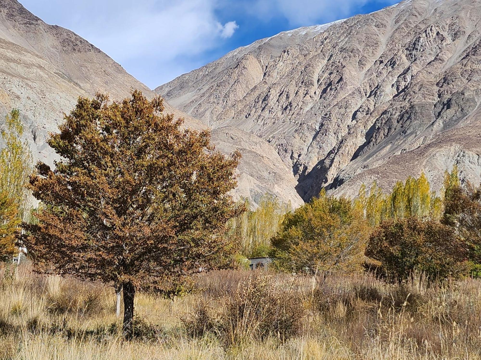 Lharimo Hotel Leh - Ladakh Ngoại thất bức ảnh