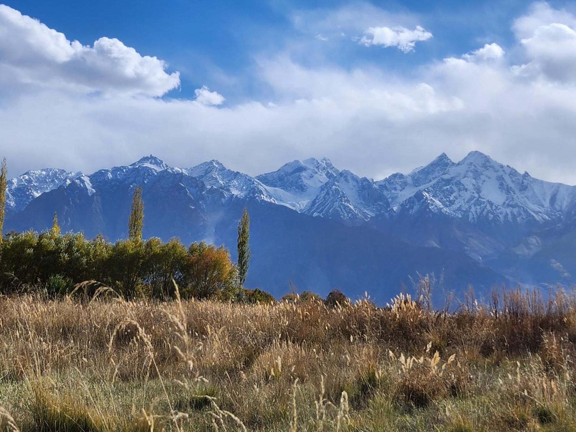 Lharimo Hotel Leh - Ladakh Ngoại thất bức ảnh